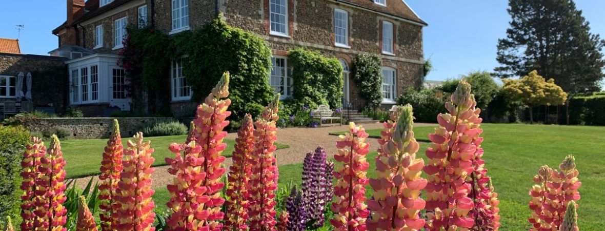 Butley Abbey Farmhouse - kate & tom's Large Holiday Homes