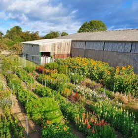The Flower Barn